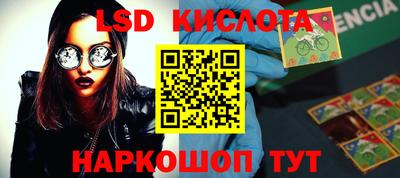 спиды Камышлов