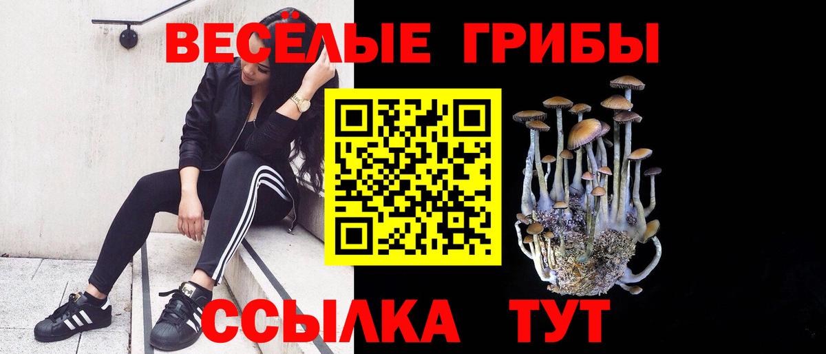 Галлюциногенные грибы мицелий Волгоград